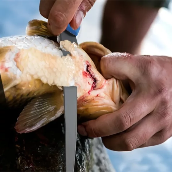 Couteau filet de pêche pliant – Image 2