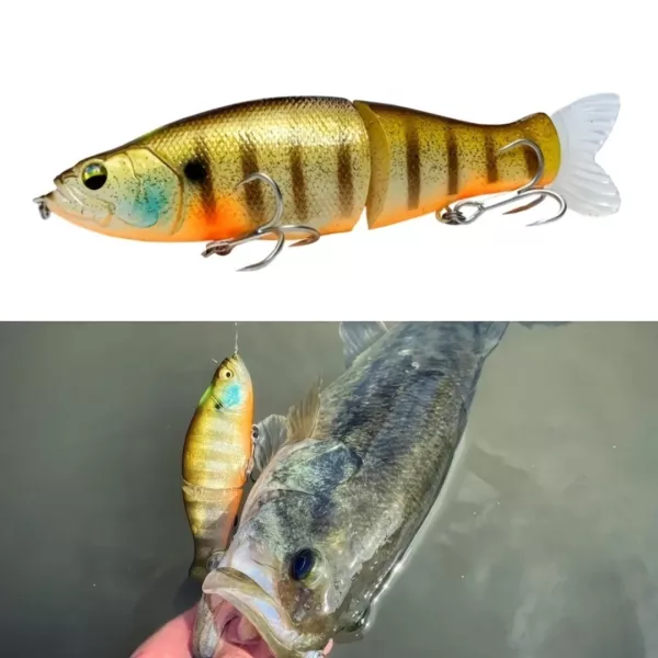 Leurre poisson nageur flottant réaliste – Image 5