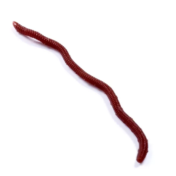 Leurre souple imitation ver pour carnassier – Image 5