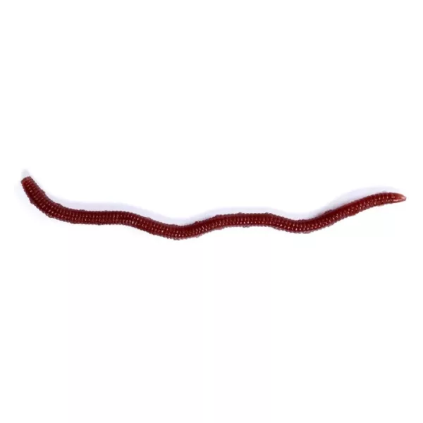 Leurre souple imitation ver pour carnassier – Image 6