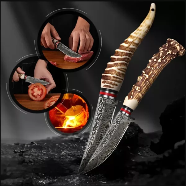 Lot de 2 couteaux chasse manche bois – Image 2