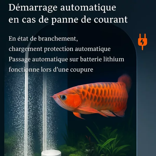 Pompe à oxygène portable pour appâts vivants – Image 2