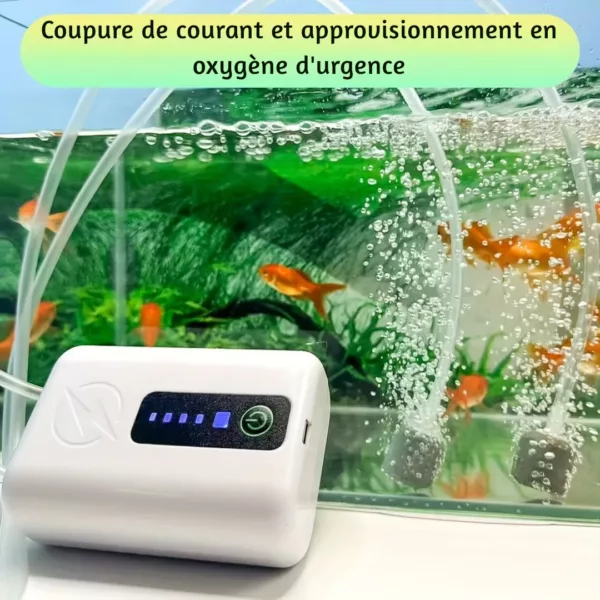 Pompe à oxygène portable pour appâts vivants – Image 7