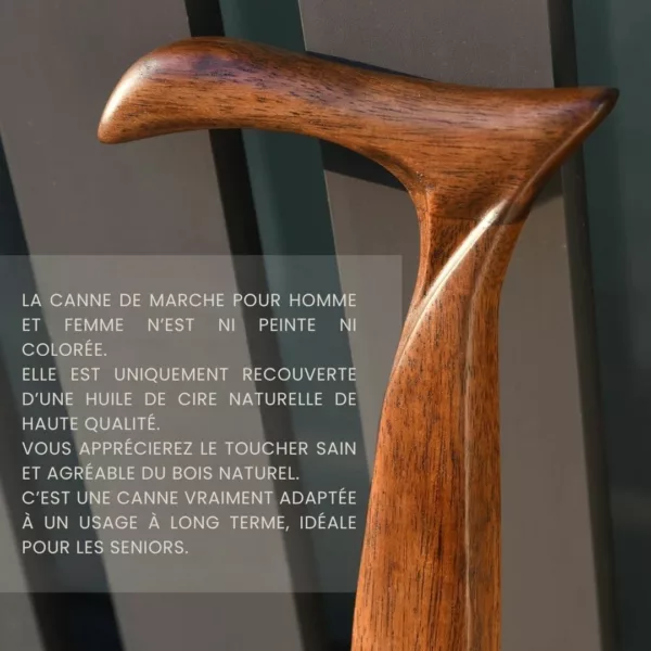 Canne minimaliste style européen – Élégance sobre et confort de marche au quotidien – Image 2