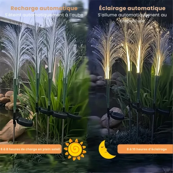 Lampe solaire fibre optique roseau – Image 4