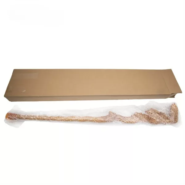 Canne poisson sculpté bois fantaisie – Accessoire élégant et original pour marche ou déco artisanale – Image 6