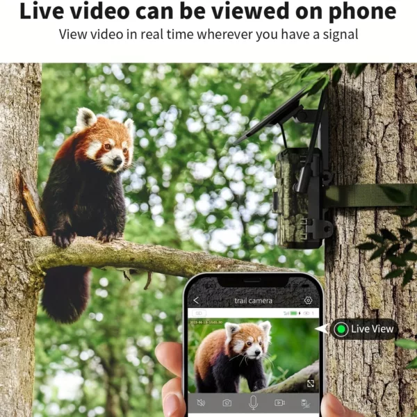 Caméra de chasse Solaire 4G LTE HD avec vision nocturne – détection de mouvement – Image 10