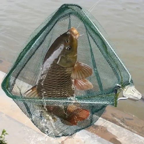 Épuisette de pêche pliable ultra-légère avec manche aluminium ergonomique