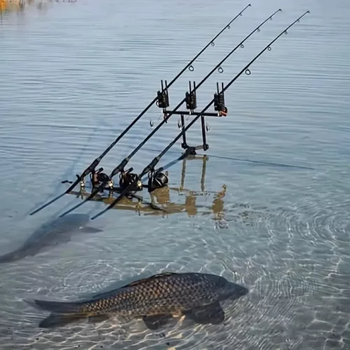 Support de cannes à pêche 3 postes pliable avec sac de transport – montage rapide
