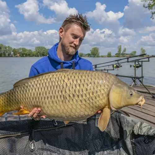 Support de canne à pêche rétractable ajustable – stable et facile à installer
