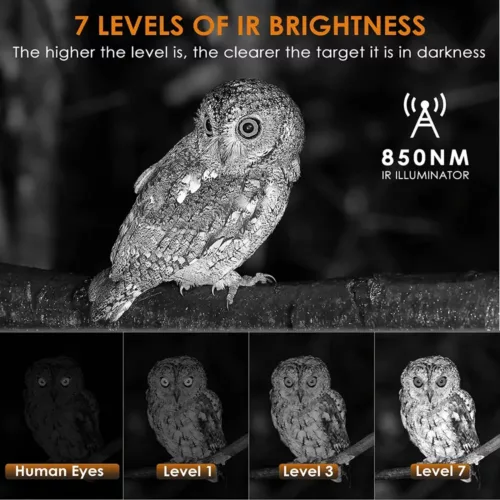 Jumelles de vision nocturne infrarouge 4K avec zoom 8x – portée 300m