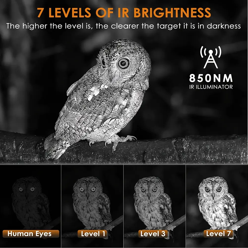 Jumelles de vision nocturne infrarouge 4K avec zoom 8x – portée 300m